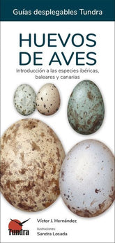 HUEVOS DE AVES GUIAS DESPLEGABLES TUNDRA - 9788418458491